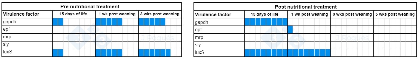 Table 1. Evolution of virulence factors detected in Streptococcus suis after incorporating SCFA and MCFA.